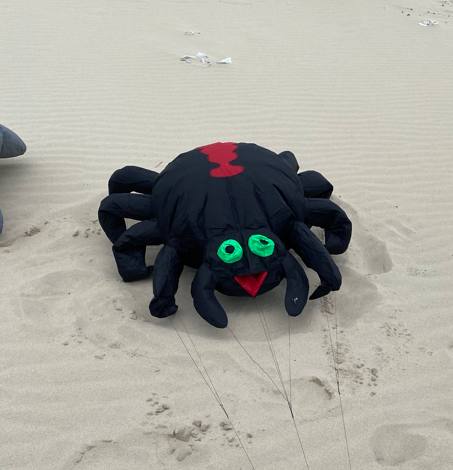 cerf-volant araignées