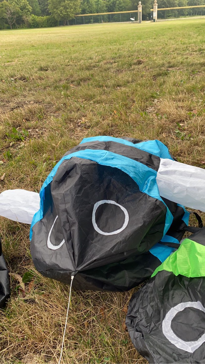 cerf-volant bourdon bleu