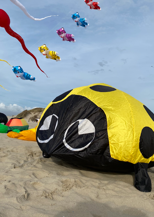 cerf-volant coccinelle jaune