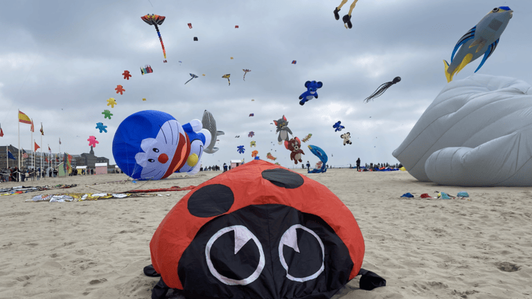 cerf-volant coccinelle rouge