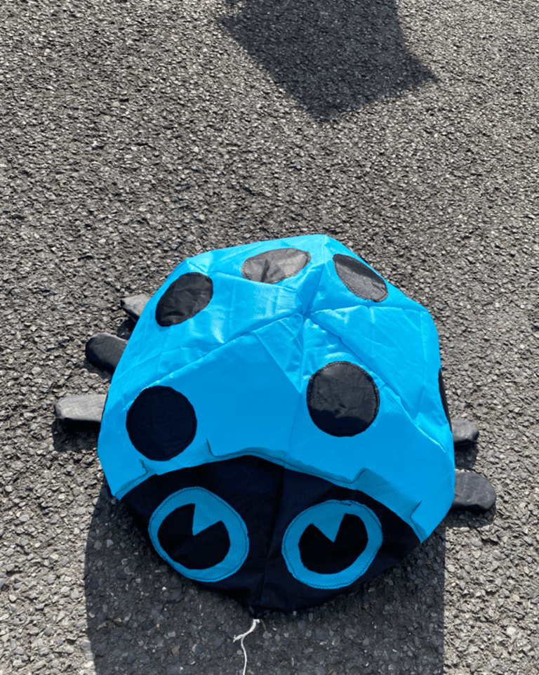 cerf-volant coccinelle bleue