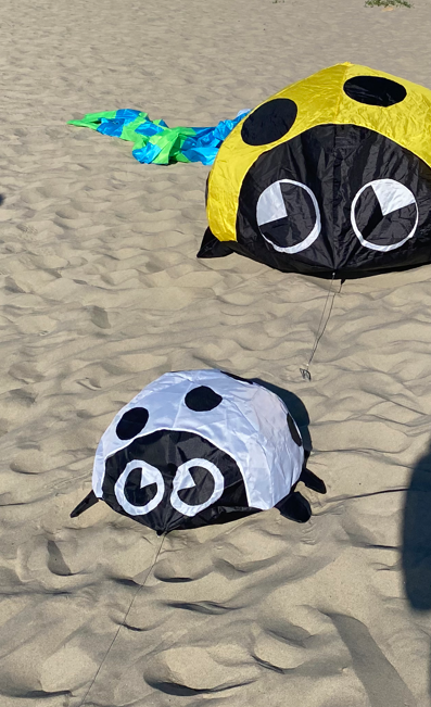 cerf-volant coccinelle blanche