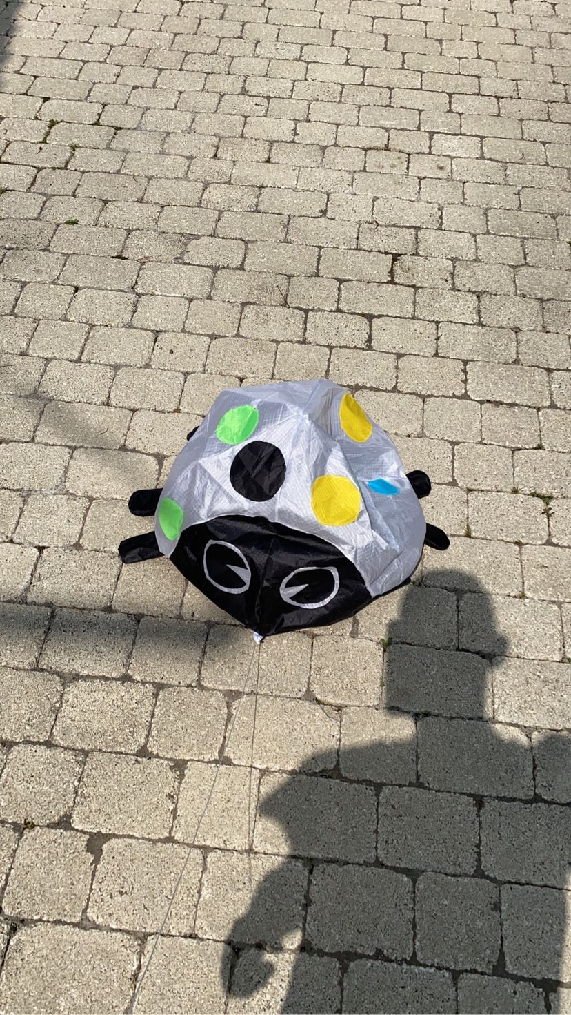 cerf-volant coccinelle blanche avec points multicolores