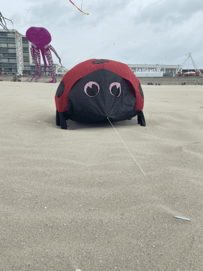 cerf-volant coccinelle rouge