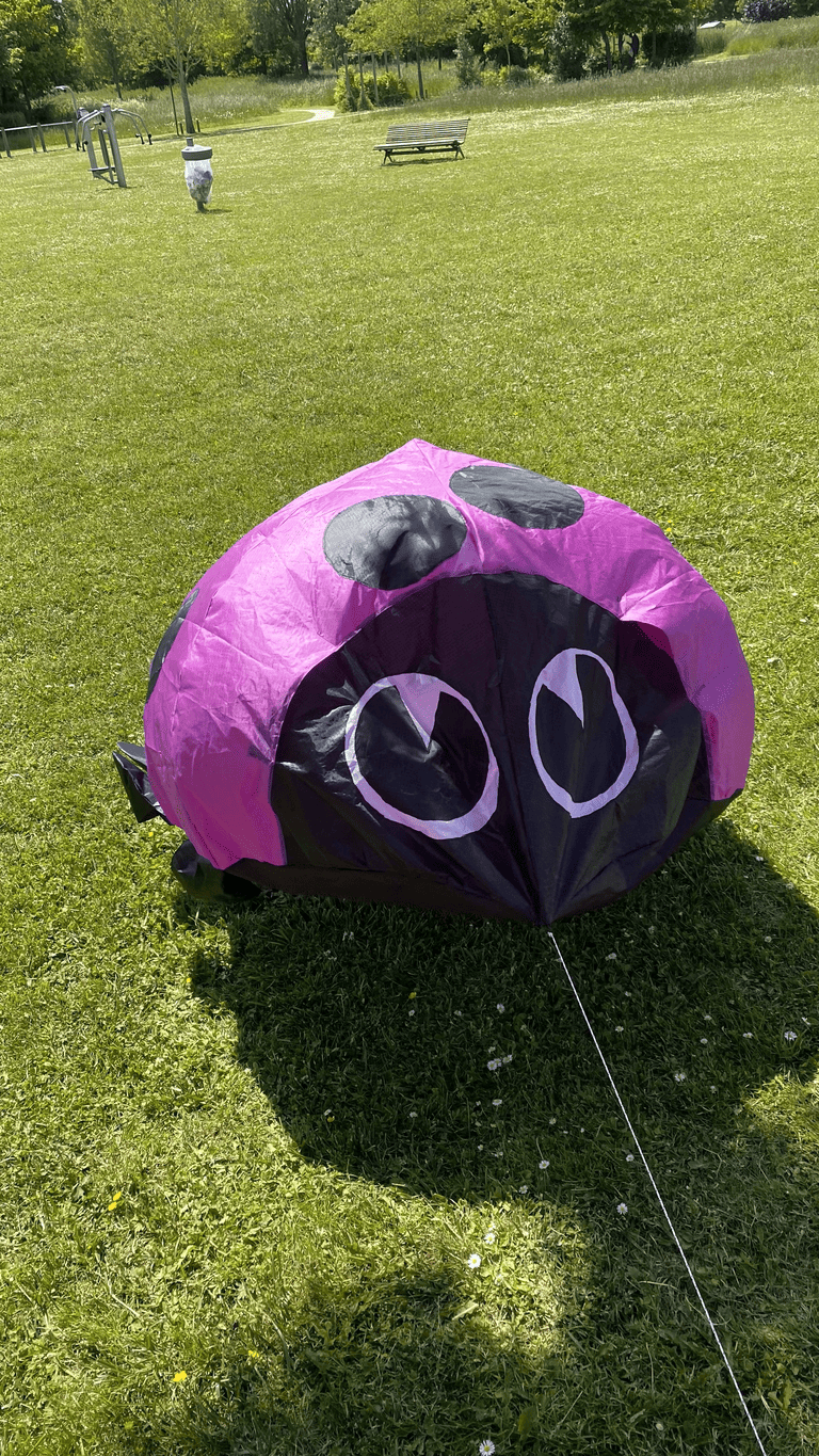 cerf-volant coccinelle violette