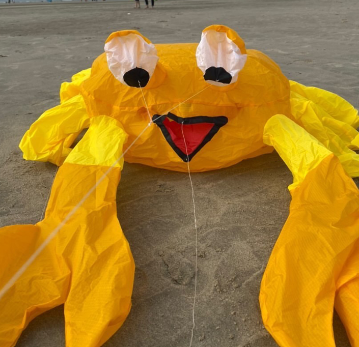 cerf-volant crabe jaune