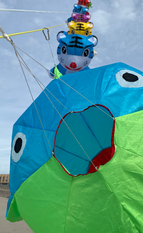 cerf-volant gros poisson