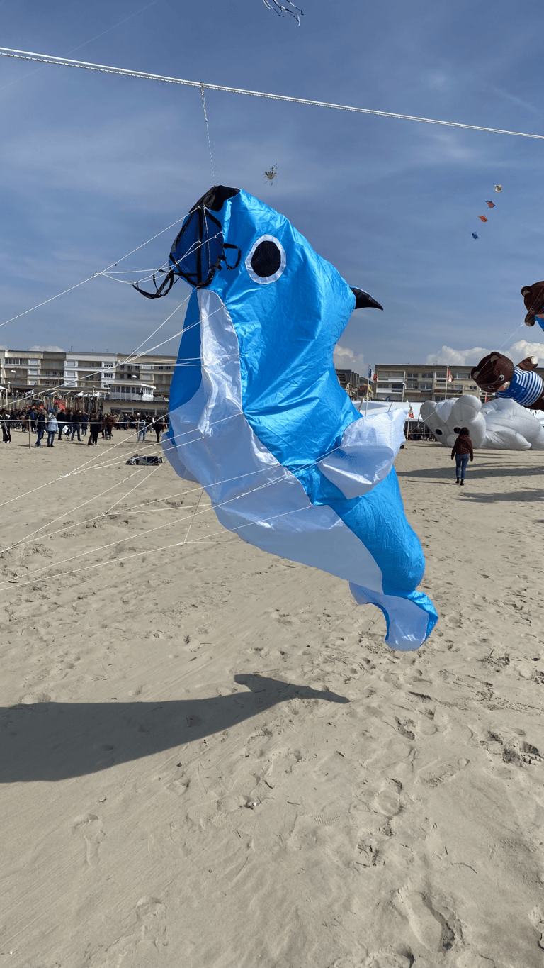 cerf-volant phoque bleu