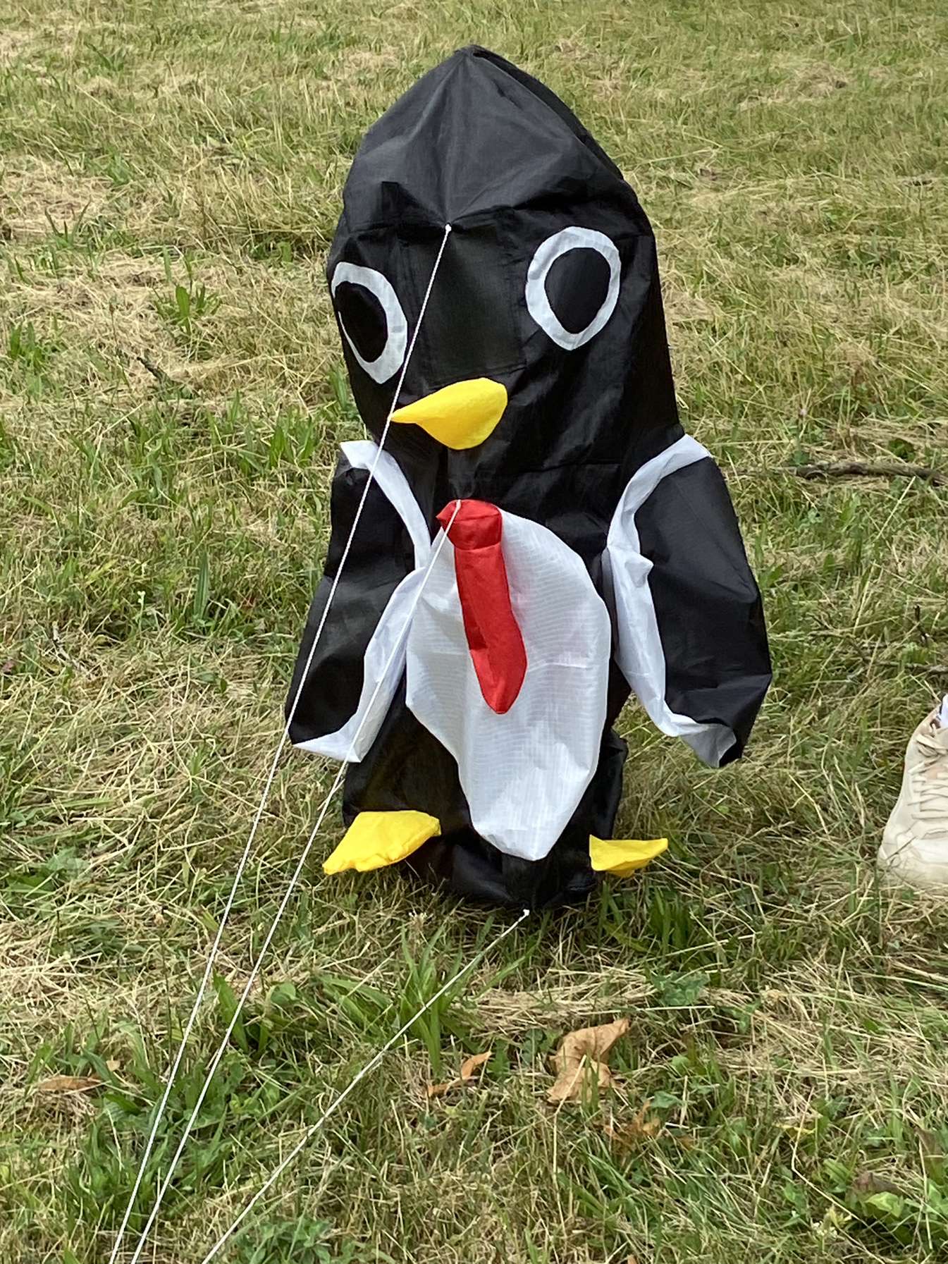 cerf-volant pingouin