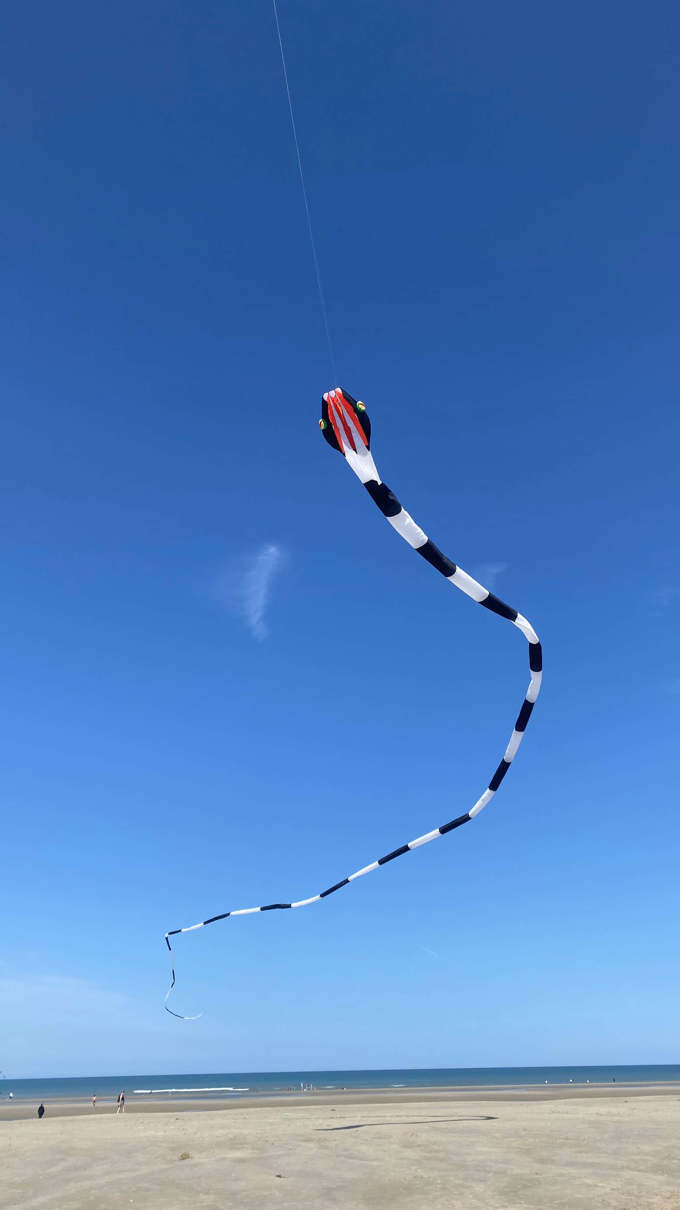 porteur serpent noir et blanc