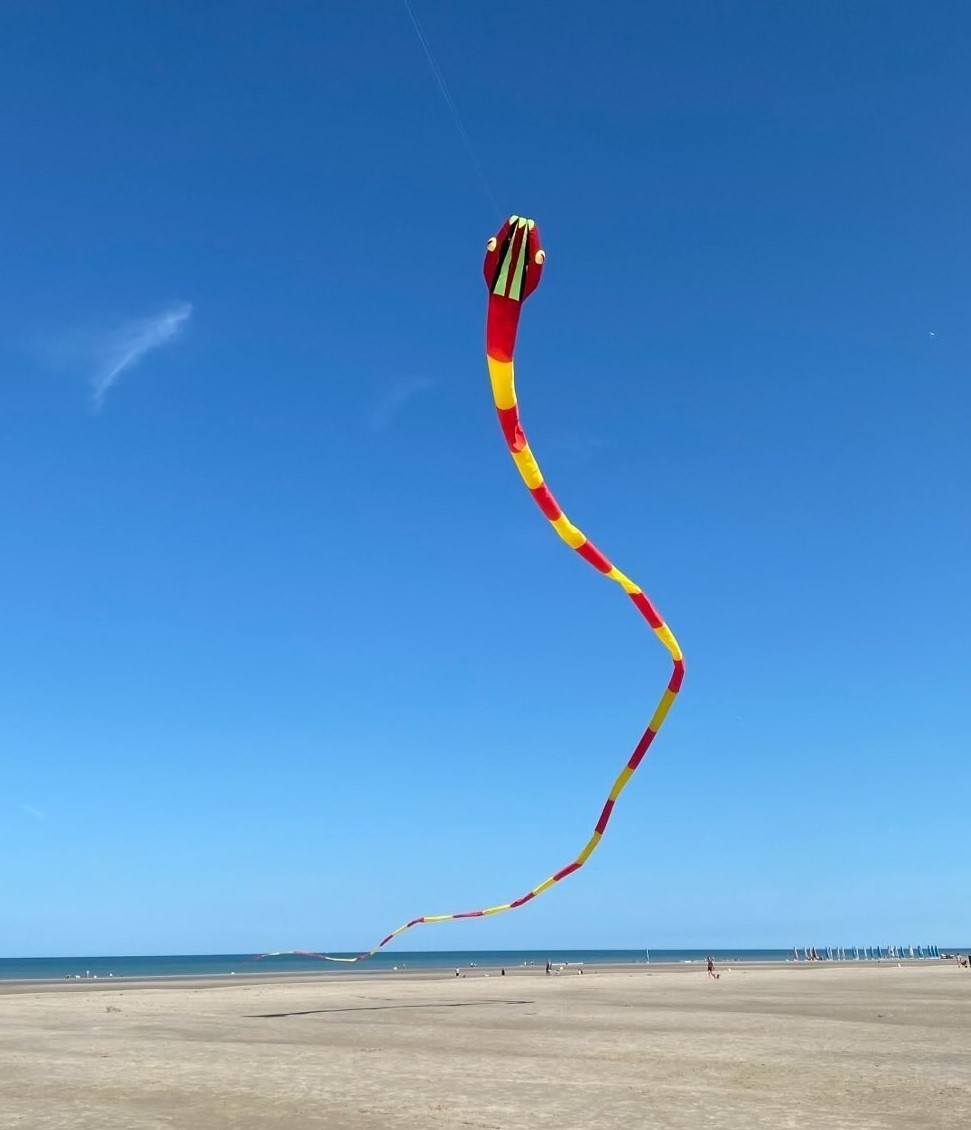 porteur serpent rouge et jaune