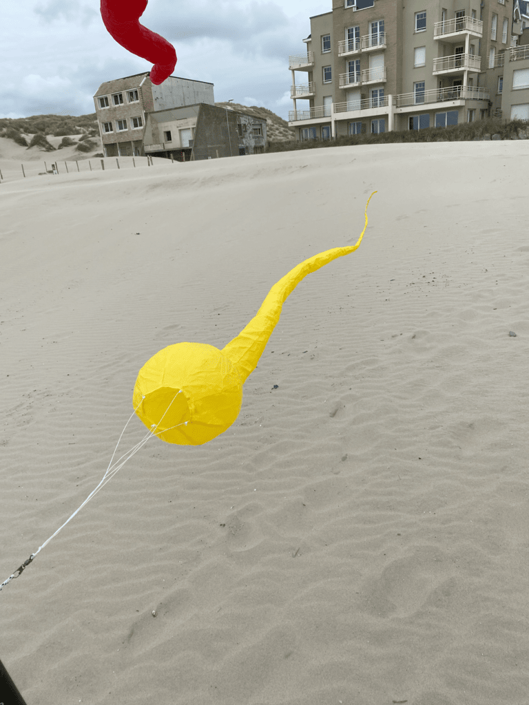 cerf-volant tetard jaune