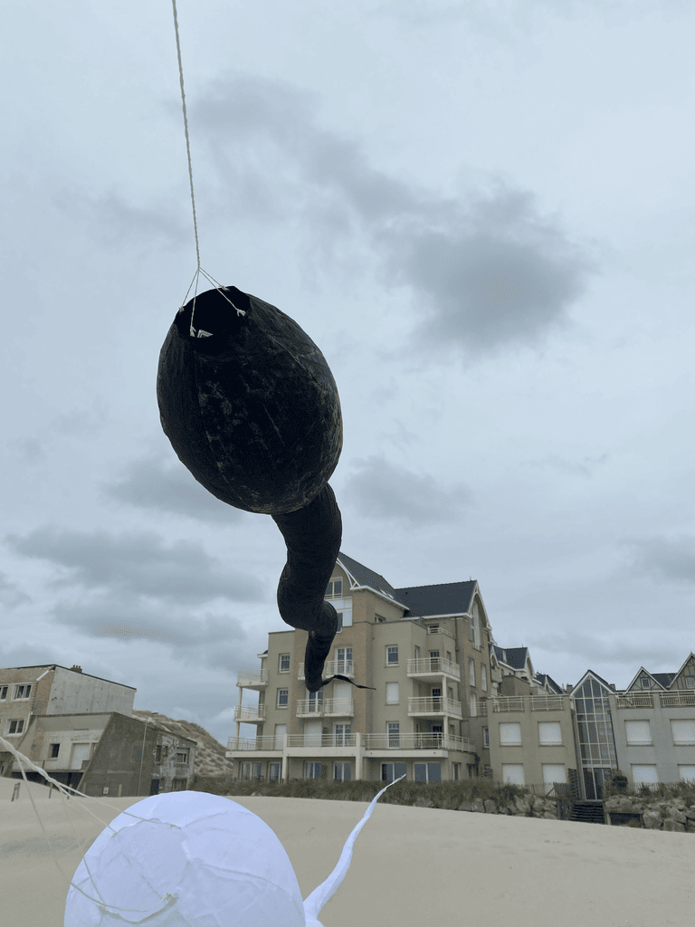 cerf-volant tetard noir