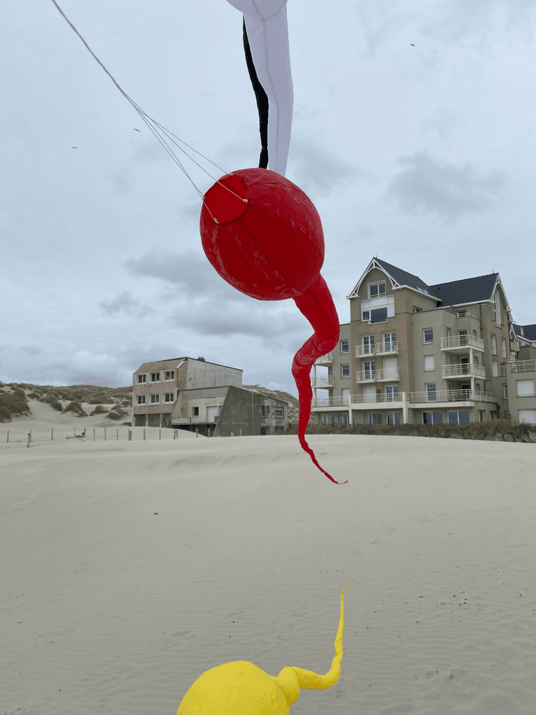 cerf-volant tetard rouge